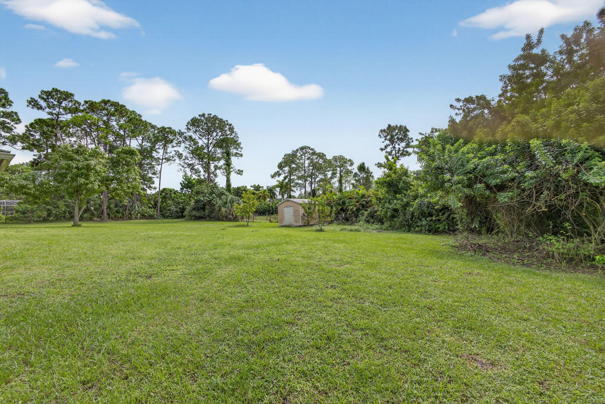 14366 76th Road North The Acreage, FL 33470 - Photo 67 of 76 a view of a field of grass and trees