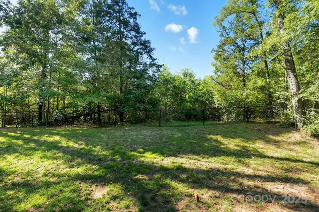 a view of a tree in a yard