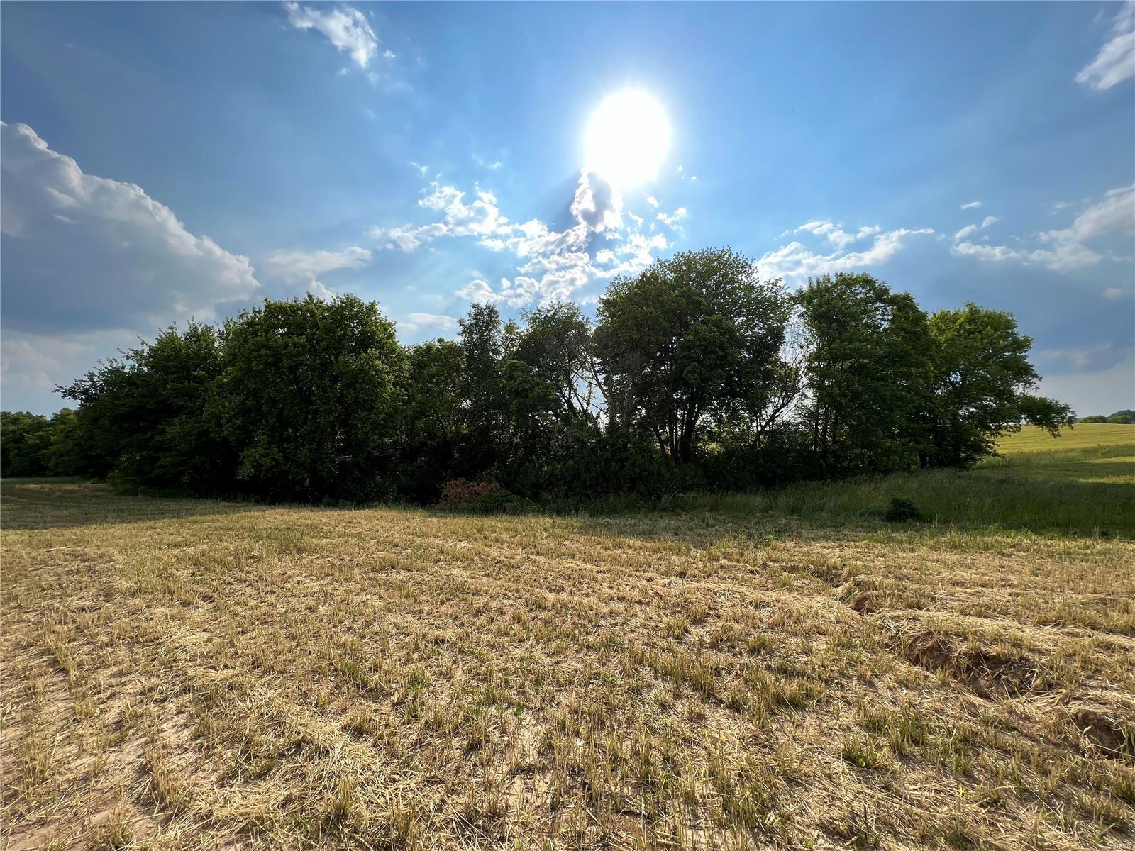 1287 Pausch Road O'Fallon, IL 62269 - Photo 4 of 4