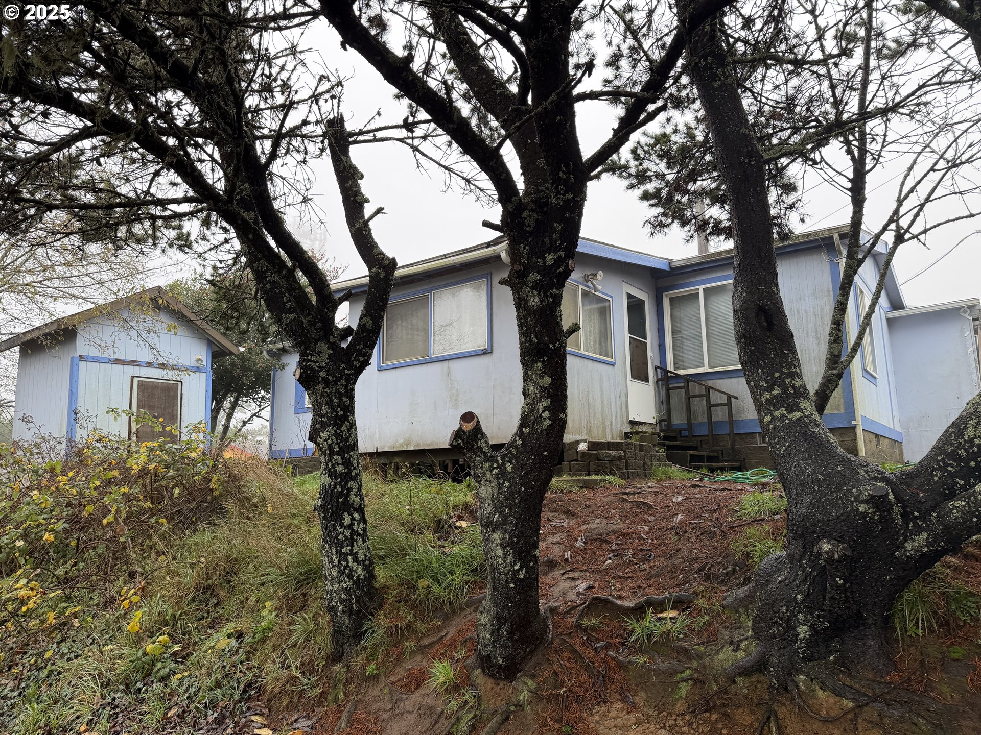 252 Northwest 20th Street Newport, OR 97365 - Photo 14 of 15 a view of a house with a tree in the forest