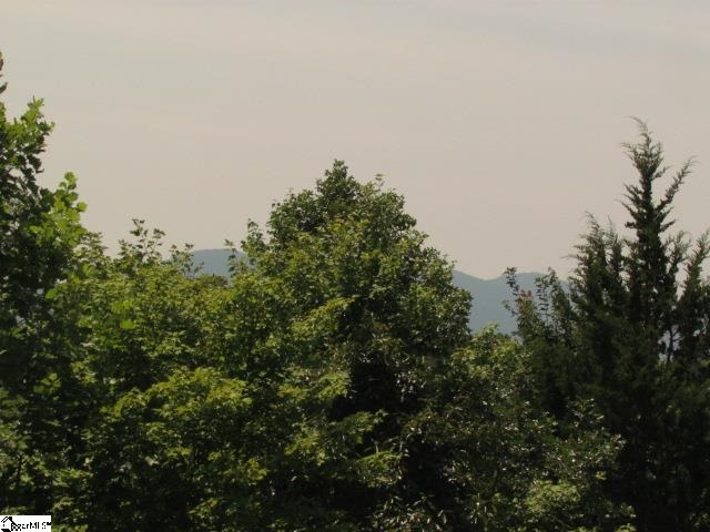 2450 Grassy Knob Road Mill Spring, NC 28756 - Photo 24 of 24