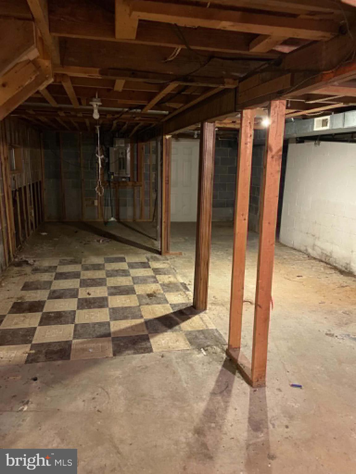 6040 Coon Tree Road The Plains, VA 20198 - Photo 10 of 10 Basement