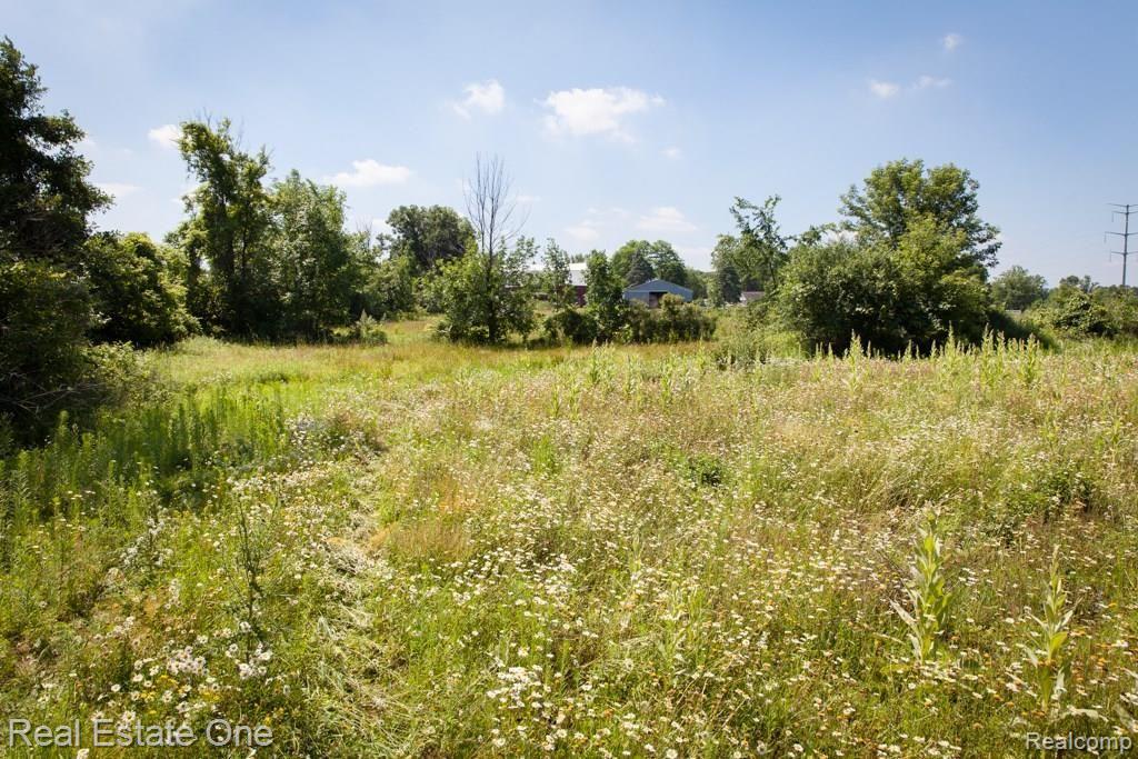0 Edgewood Road Ortonville, MI 48462 - Photo 13 of 20