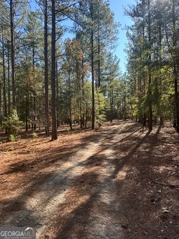 a backyard of a house with trees