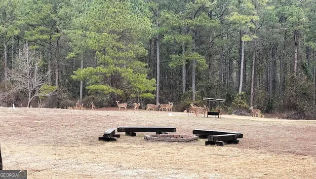 a view of a dry yard