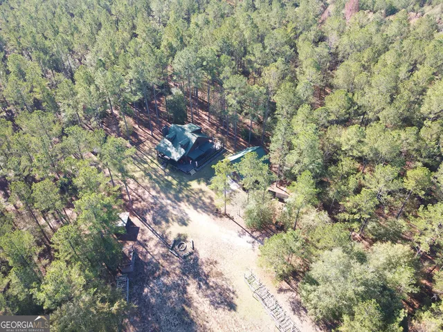 a view of a forest with trees