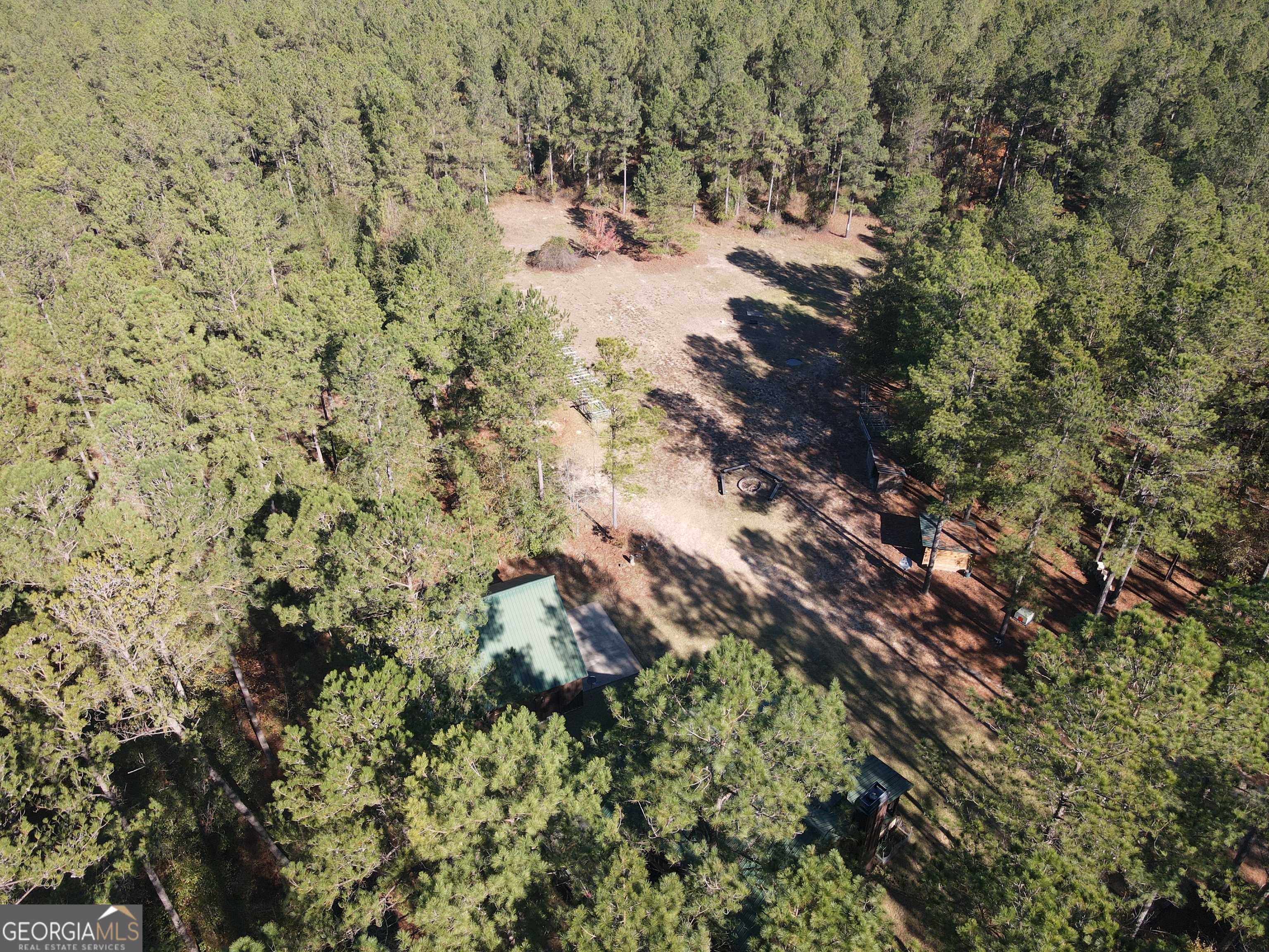 5559 Mill Creek Church Road Mitchell, GA 30820 - Photo 52 of 65 a view of a yard with plants and tree