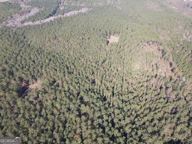 $1,600,000 | 5559 Mill Creek Church Road, Mitchell, GA 30820