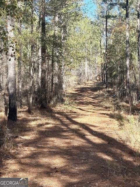 5559 Mill Creek Church Road Mitchell, GA 30820 - Photo 54 of 65 a view of a yard with large trees