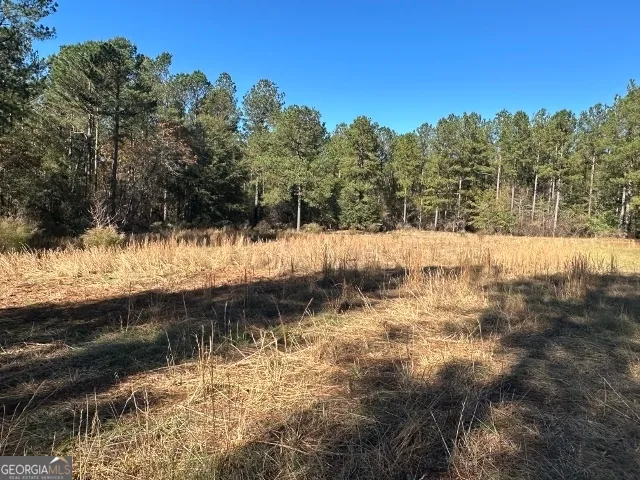 $1,600,000 | 5559 Mill Creek Church Road, Mitchell, GA 30820