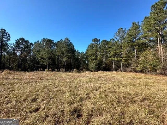 $1,600,000 | 5559 Mill Creek Church Road, Mitchell, GA 30820