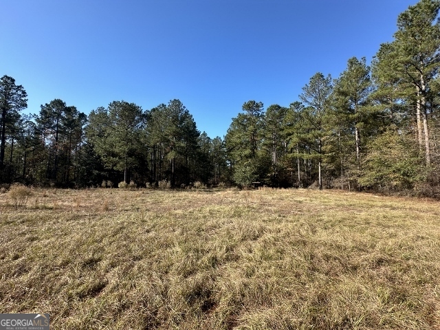 5559 Mill Creek Church Road Mitchell, GA 30820 - Photo 56 of 65