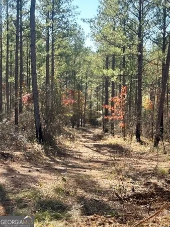 $1,600,000 | 5559 Mill Creek Church Road, Mitchell, GA 30820