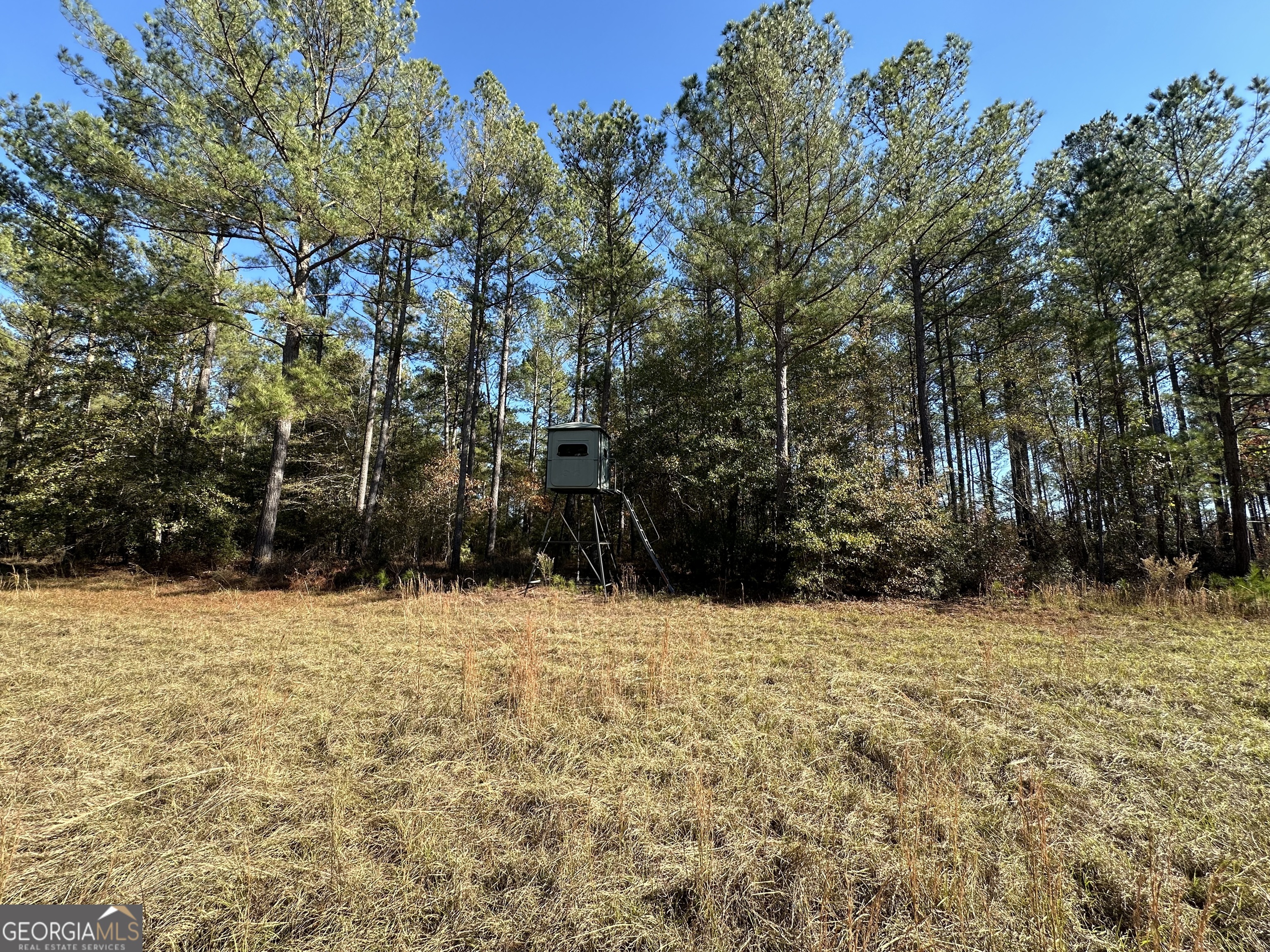 5559 Mill Creek Church Road Mitchell, GA 30820 - Photo 60 of 65 a street view covered with snow