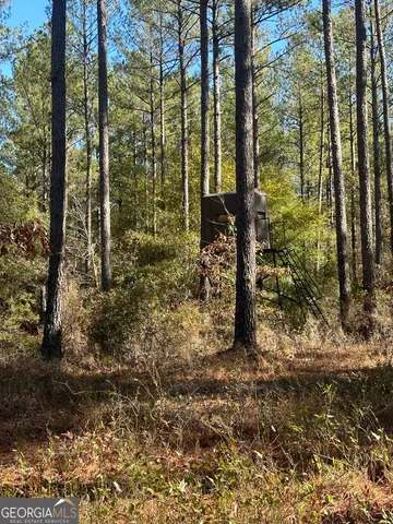 $1,600,000 | 5559 Mill Creek Church Road, Mitchell, GA 30820