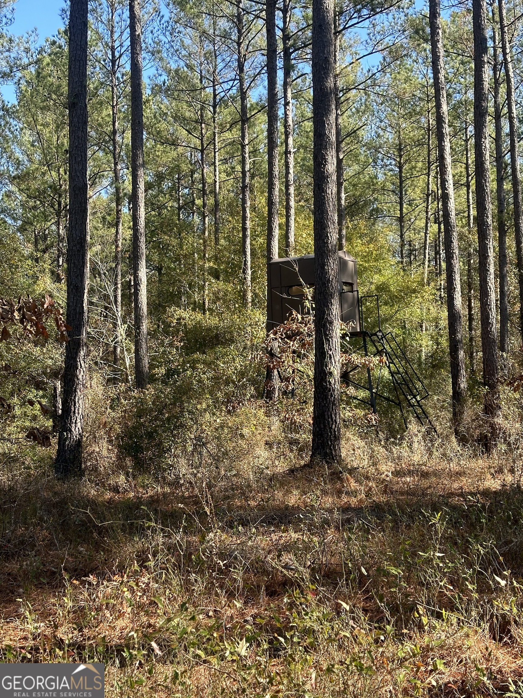 5559 Mill Creek Church Road Mitchell, GA 30820 - Photo 61 of 65