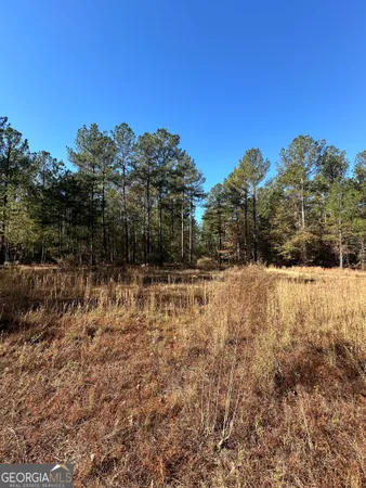$1,600,000 | 5559 Mill Creek Church Road, Mitchell, GA 30820