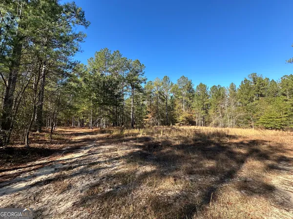 $1,600,000 | 5559 Mill Creek Church Road, Mitchell, GA 30820