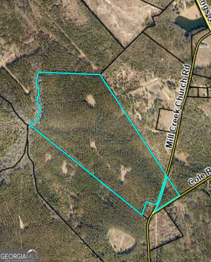 5559 Mill Creek Church Road Mitchell, GA 30820 - Photo 65 of 65