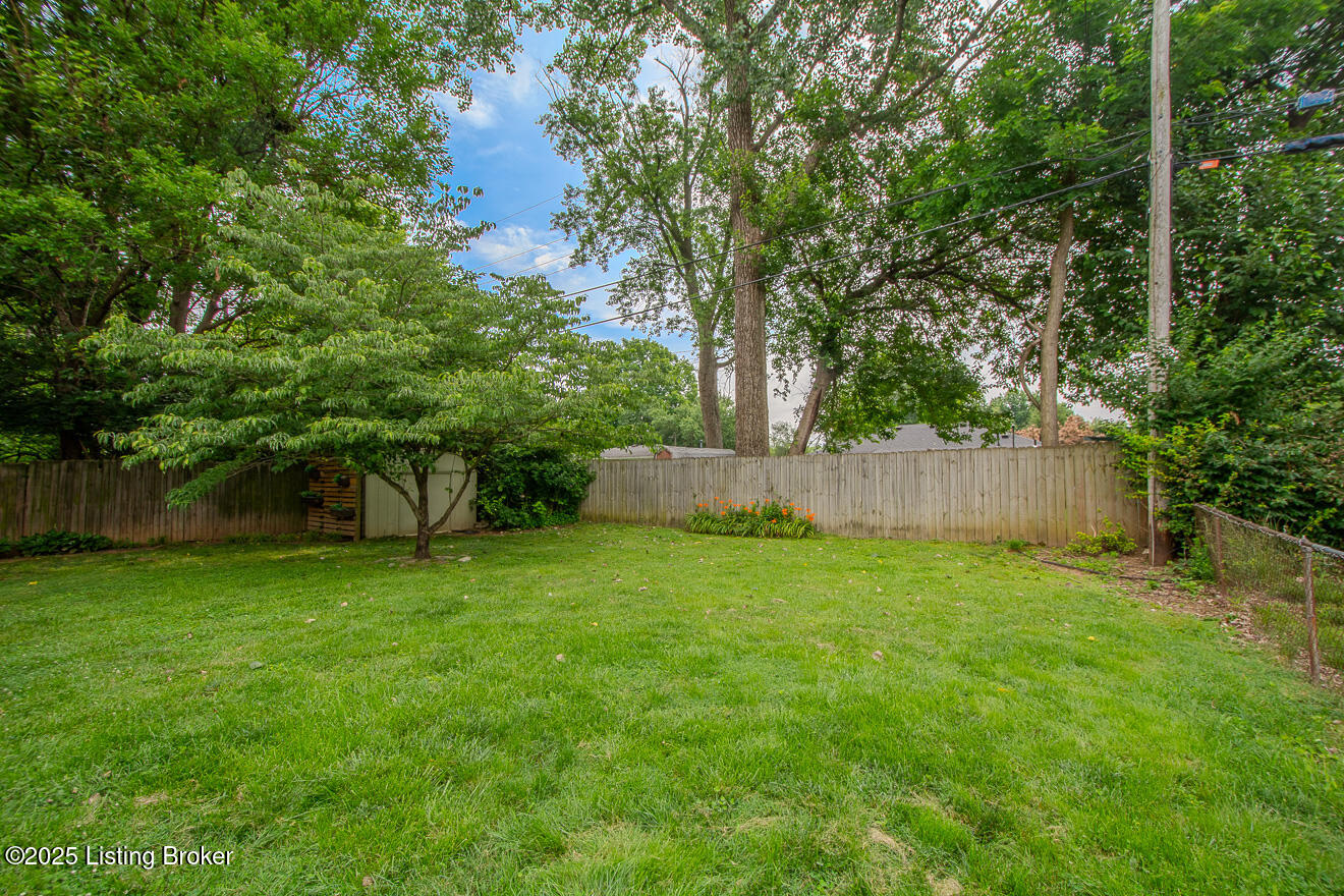 3111 Radiance Road Louisville, KY 40220 - Photo 28 of 37 Fully Fenced Yard