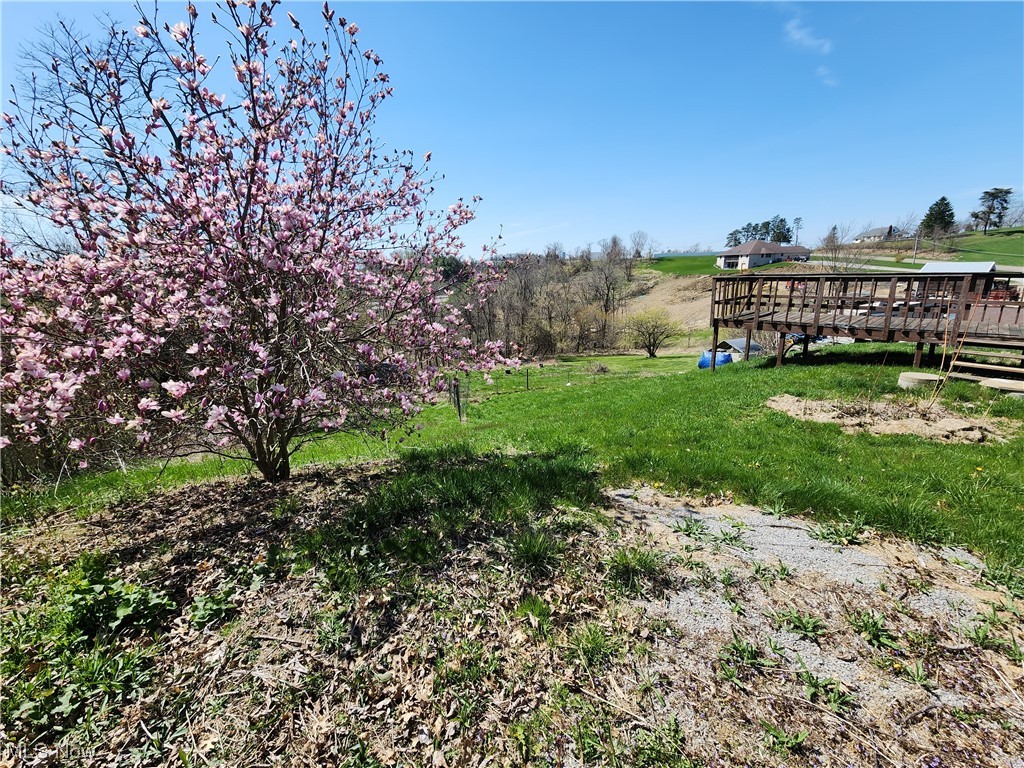 54142 High Ridge Road Bellaire, OH 43906 - Photo 15 of 23 Gallery Image 15