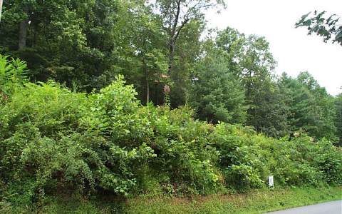 Lot 4 Mull Road Morganton, GA 30560 - Photo 1 of 1 Main View