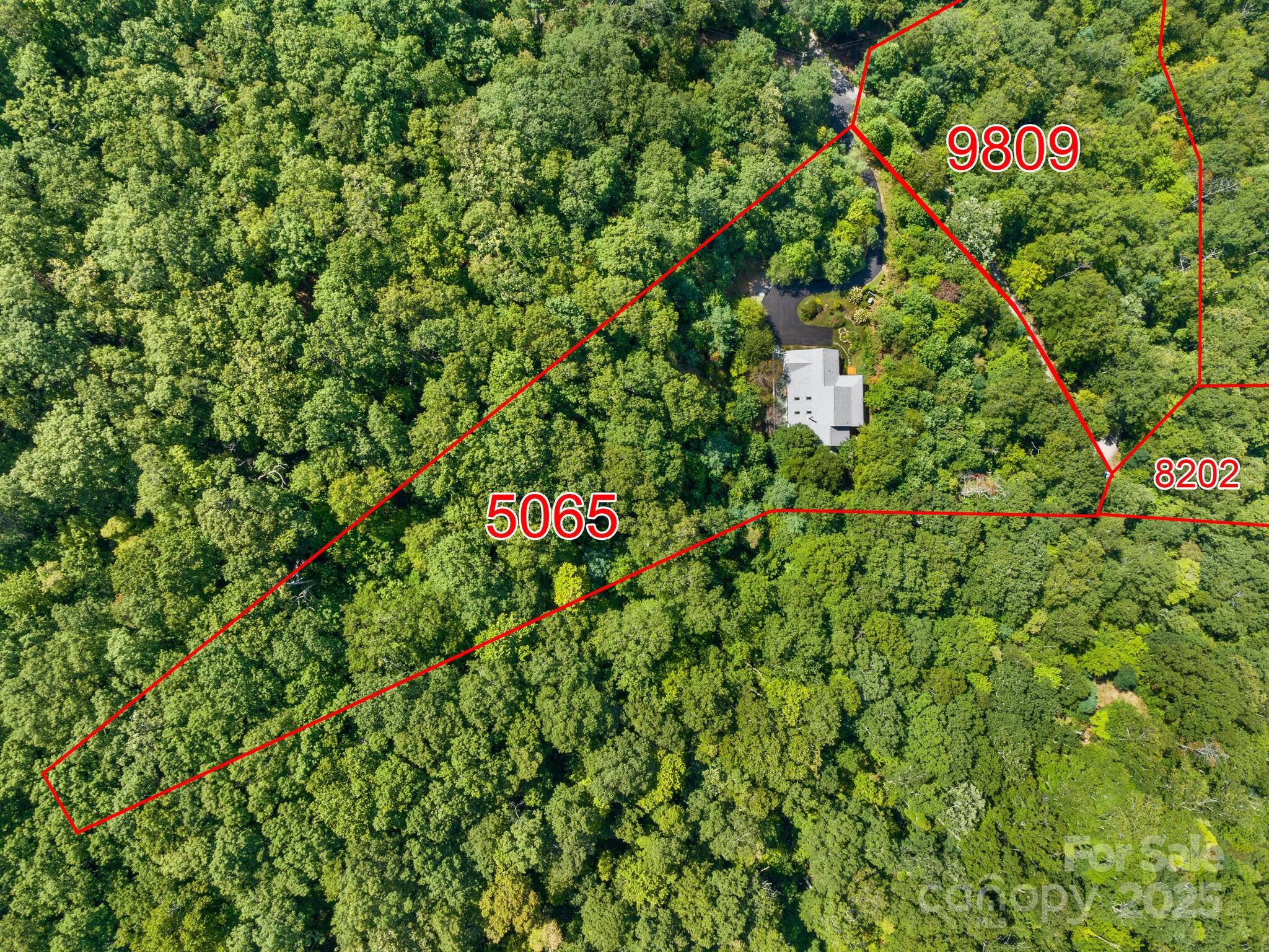 80 Ivy Cove Road Fairview, NC 28730 - Photo 3 of 48