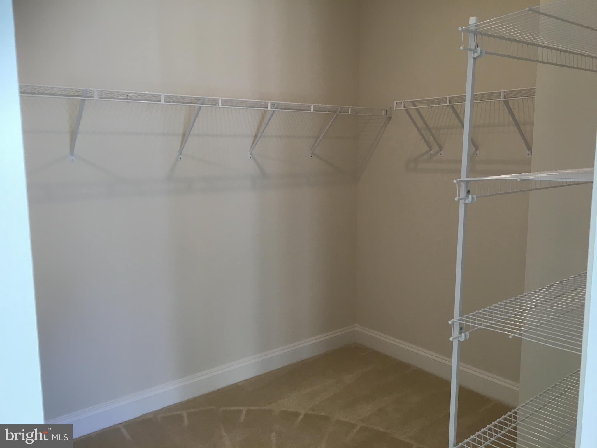 22591 Amendola Terrace Ashburn, VA 20148 - Photo 20 of 39 Master room walking closet