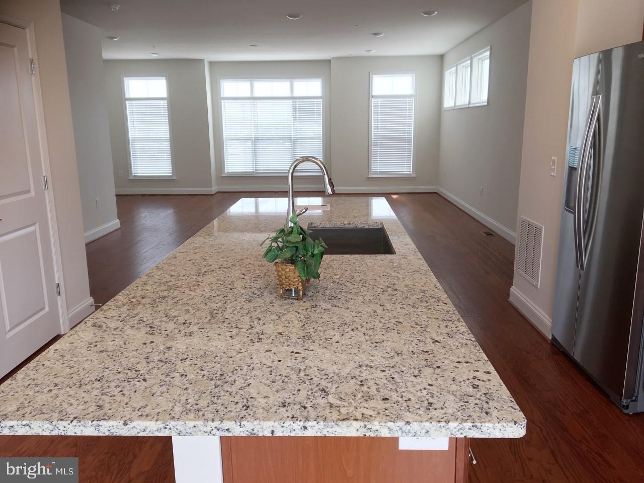 22591 Amendola Terrace Ashburn, VA 20148 - Photo 30 of 39