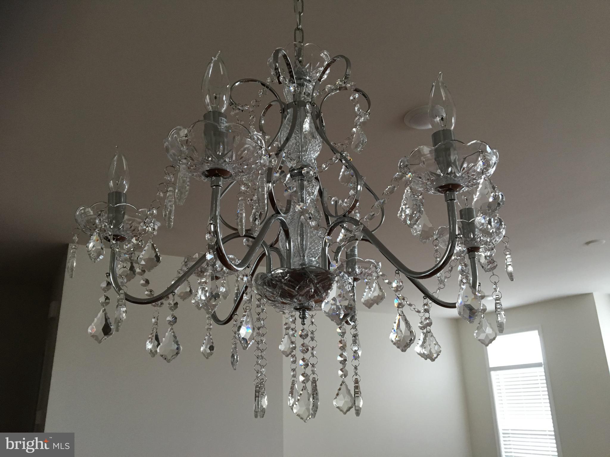 22591 Amendola Terrace Ashburn, VA 20148 - Photo 33 of 39 a vase of flowers sitting on a table