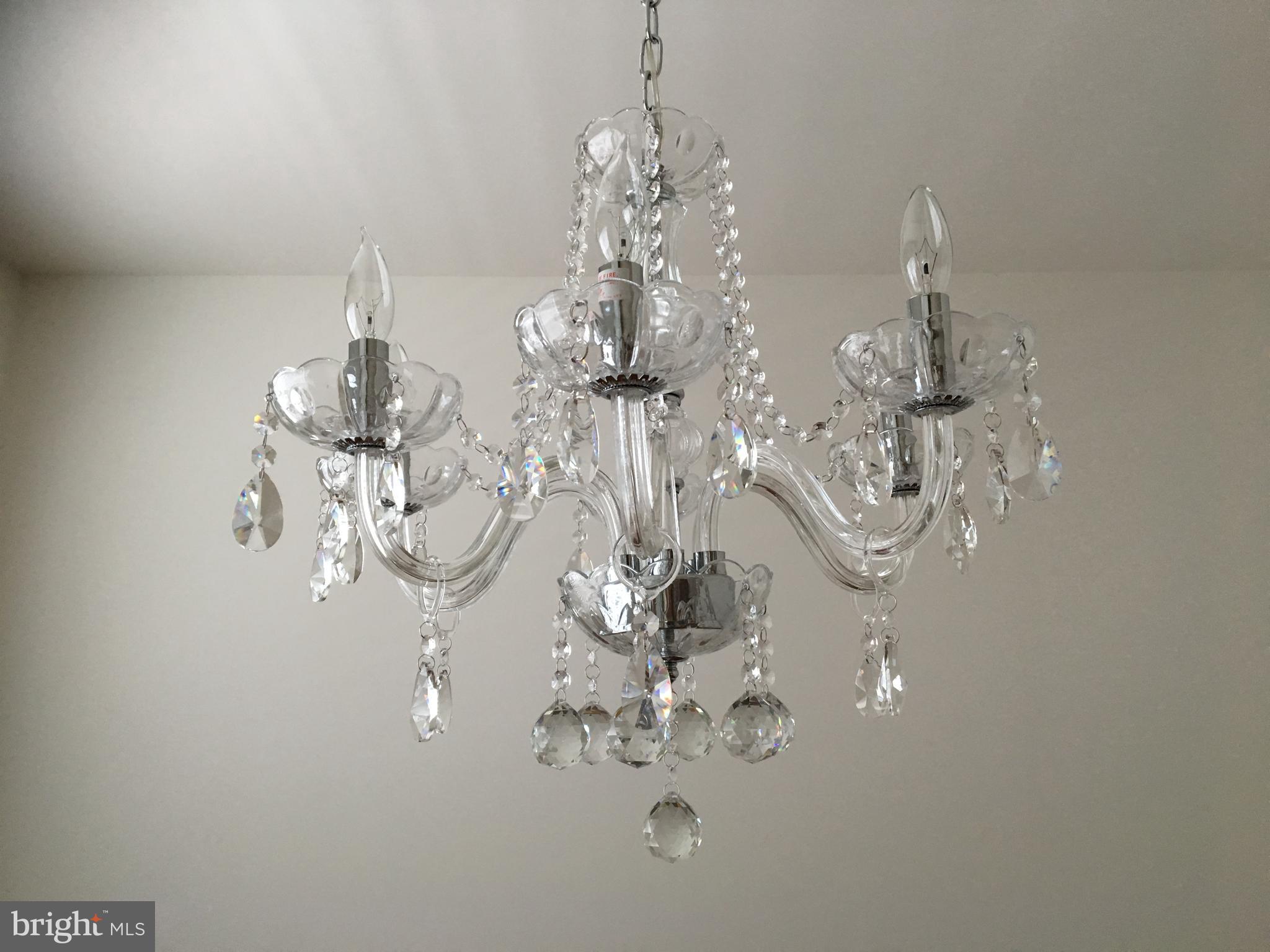 22591 Amendola Terrace Ashburn, VA 20148 - Photo 34 of 39