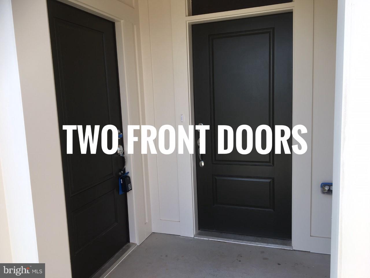 22591 Amendola Terrace Ashburn, VA 20148 - Photo 4 of 39