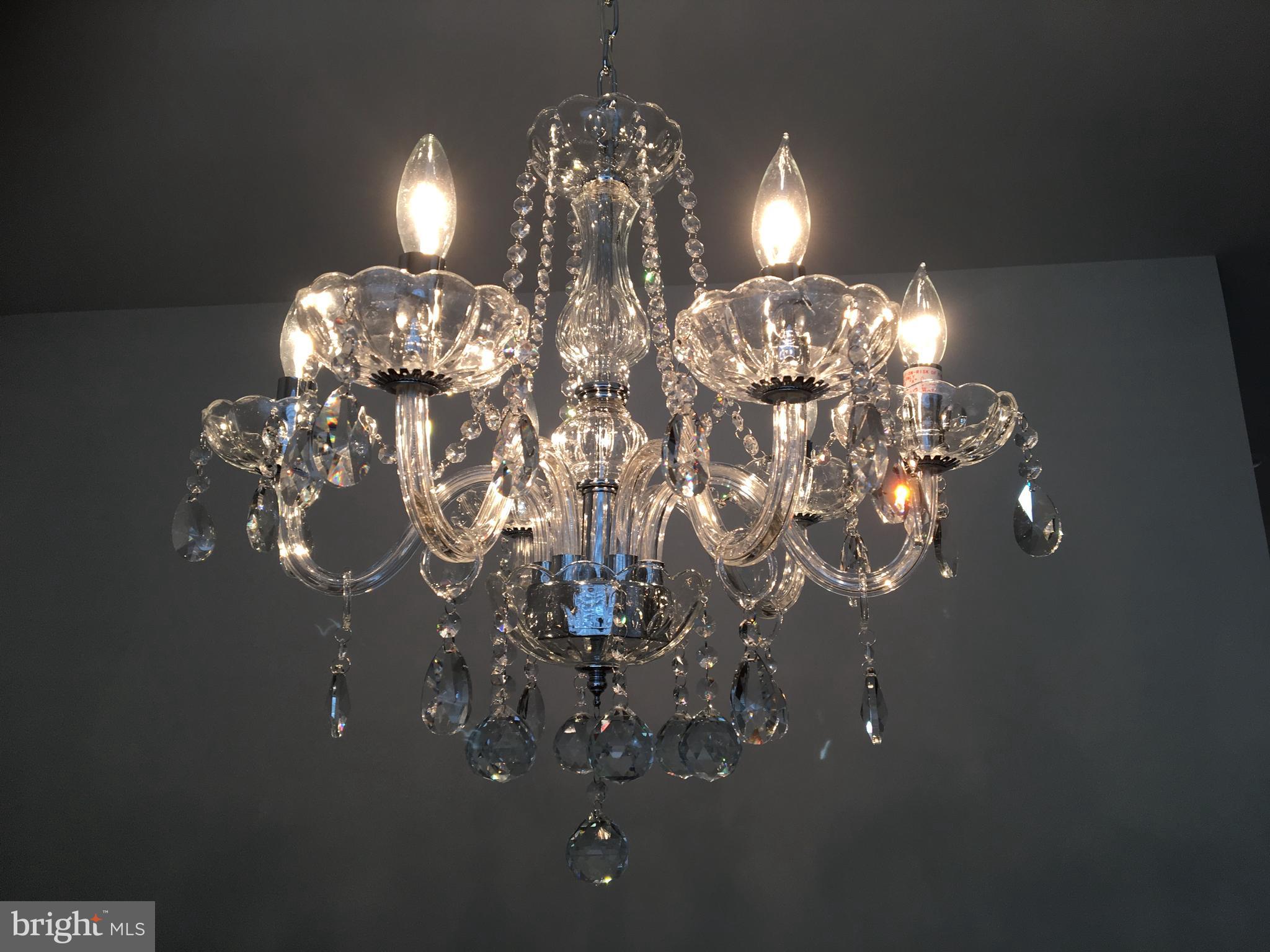 22591 Amendola Terrace Ashburn, VA 20148 - Photo 10 of 39