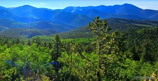 a view of a green yard
