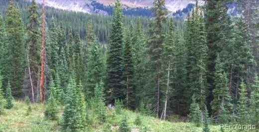 a view of a yard with plants and trees