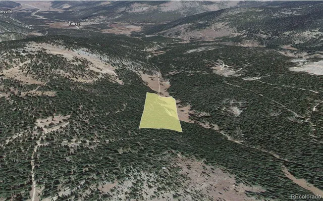 a view of banana tree