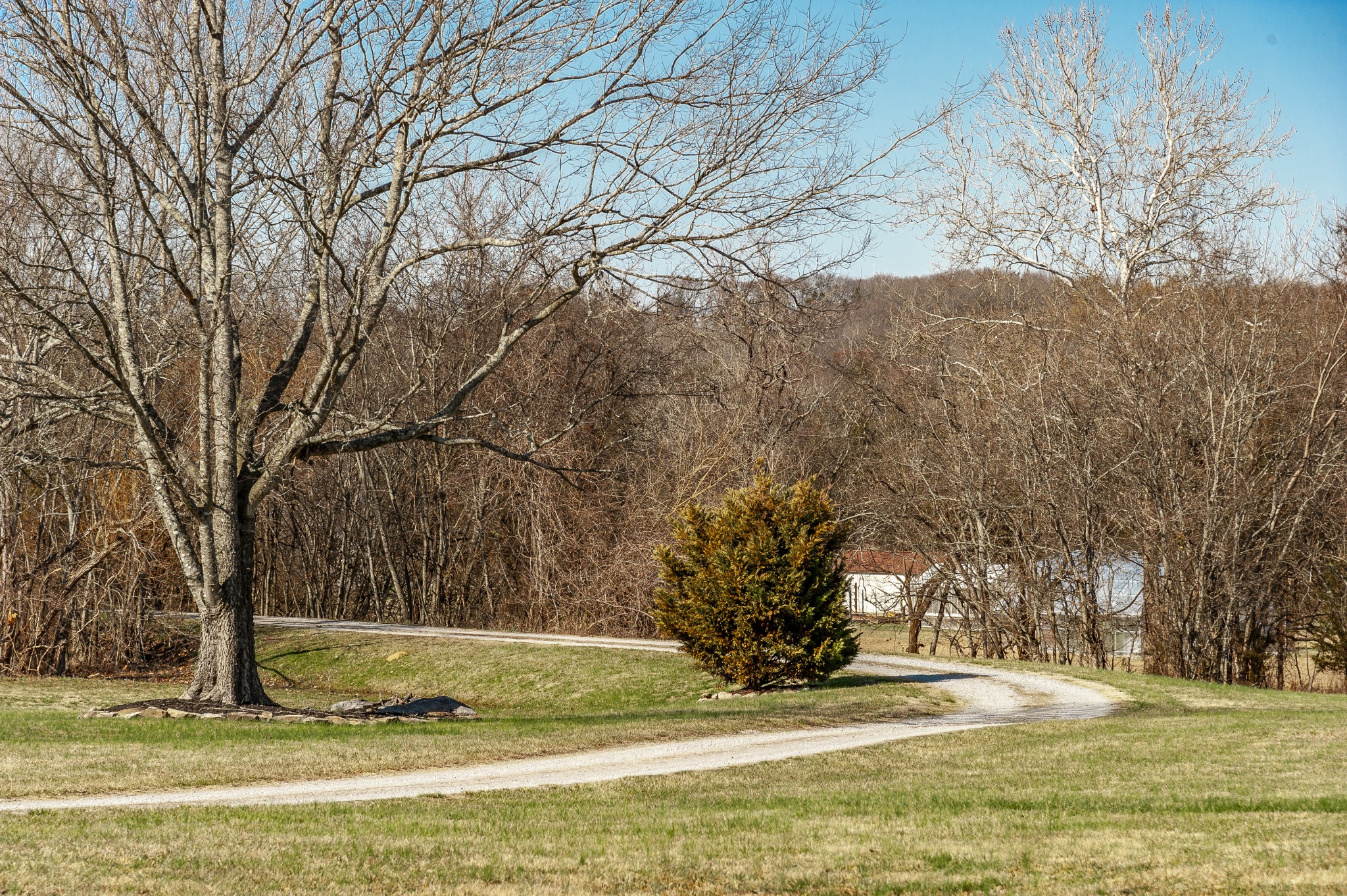 4305 Franklin Road Lebanon, TN 37090 - Photo 58 of 67 a view of a yard with large trees