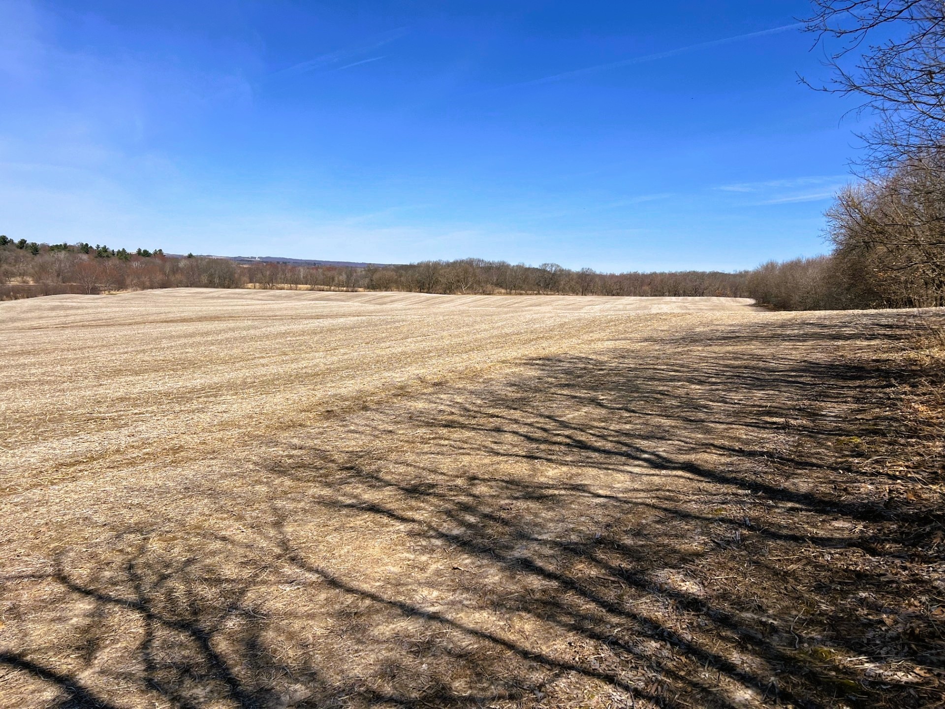 0 Pete Coulee Road Taylor, WI 54659 - Photo 21 of 49