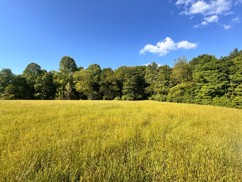 178 Grande Road Glen Daniel, WV 25844 - Photo 21 of 44 Gallery Image 21
