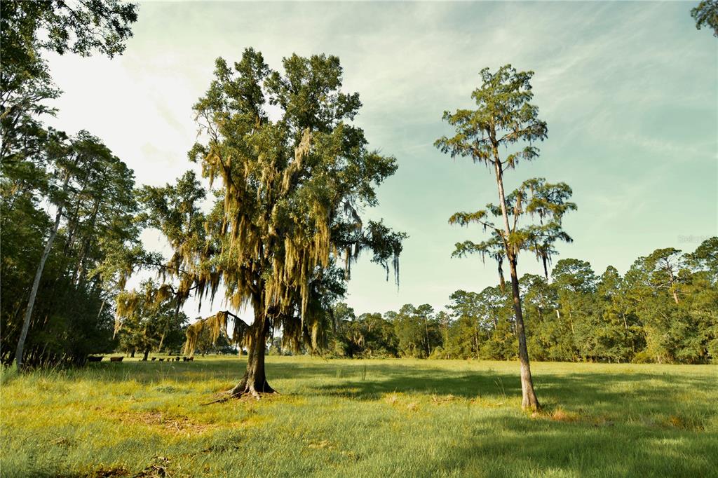4802 Northwest 50th Road Starke, FL 32091 - Photo 13 of 75 Gallery Image 13