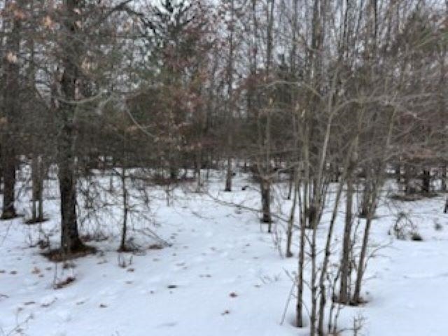 Lot B West 14 Road Mesick, MI 49668 - Photo 8 of 37