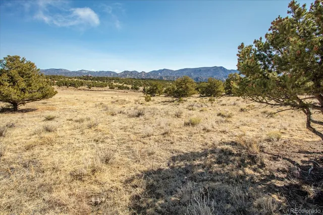 a view of beach with large trees