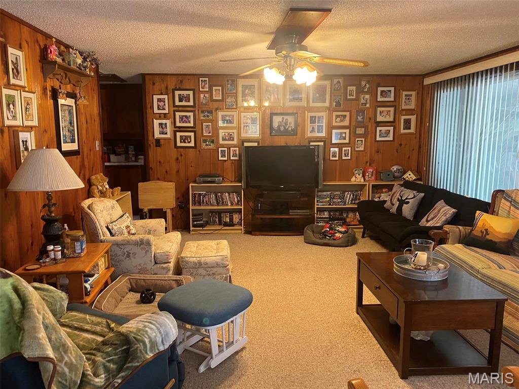 16680 Cantrell Drive Licking, MO 65542 - Photo 17 of 92