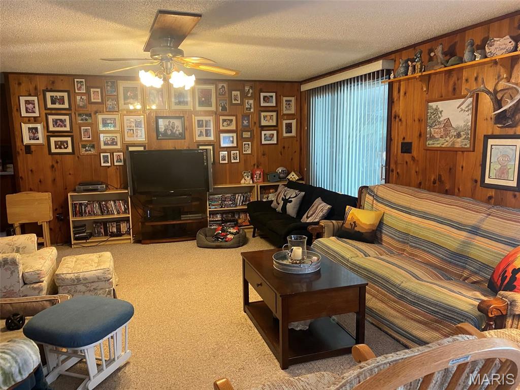 16680 Cantrell Drive Licking, MO 65542 - Photo 18 of 92