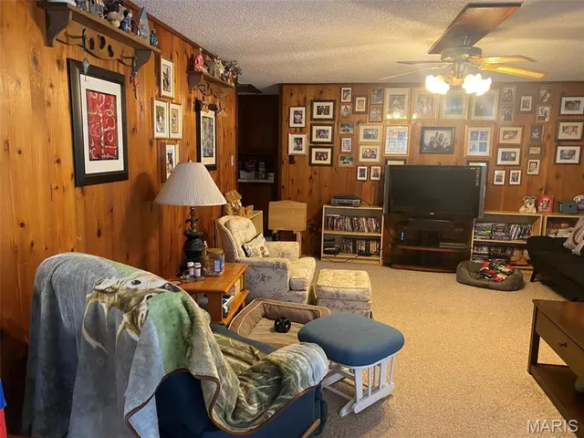 $389,000 | 16680 Cantrell Drive, Licking, MO 65542