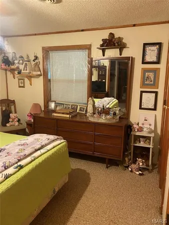 $389,000 | 16680 Cantrell Drive, Licking, MO 65542