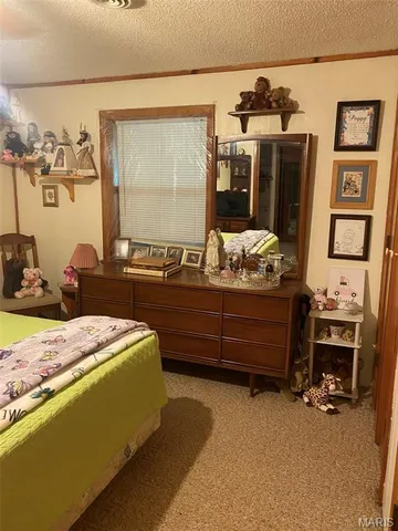 $389,000 | 16680 Cantrell Drive, Licking, MO 65542