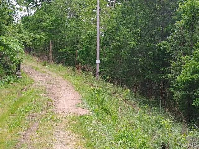 $389,000 | 16680 Cantrell Drive, Licking, MO 65542