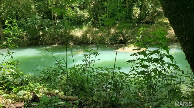 $389,000 | 16680 Cantrell Drive, Licking, MO 65542