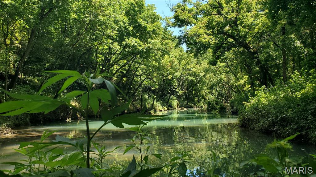16680 Cantrell Drive Licking, MO 65542 - Photo 45 of 92